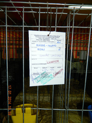 Crescator: Ghindeanu Cosmin; 94 p
