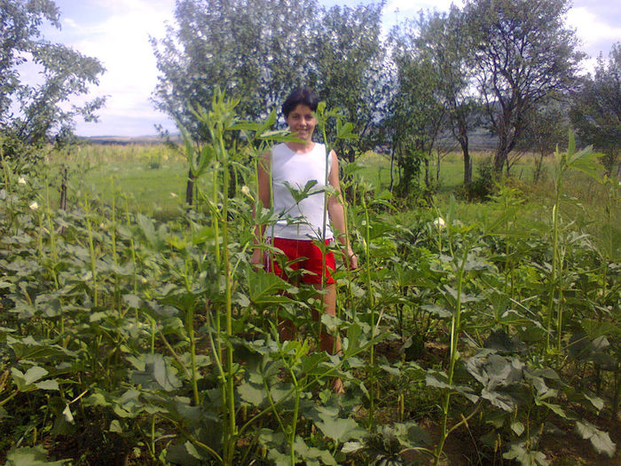 Fotografie0115; printre bame
