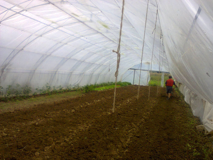 Fotografie0134; pregatirea pentru noua recota
