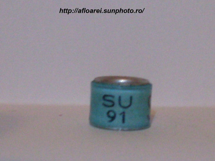 su 91 s - SCOTIA-SU