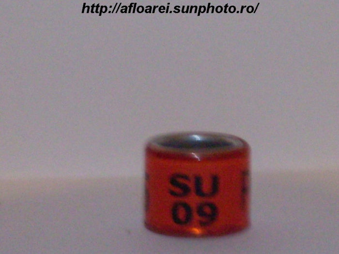 su 09