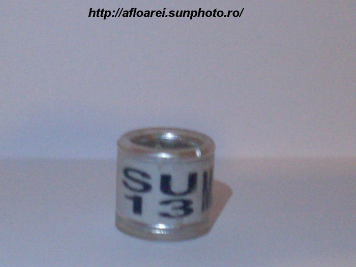 su 13 ml - SCOTIA-SU