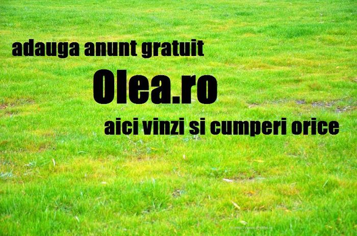 olea.ro - citrice de vanzare