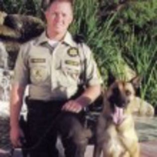 200552254641policeDog