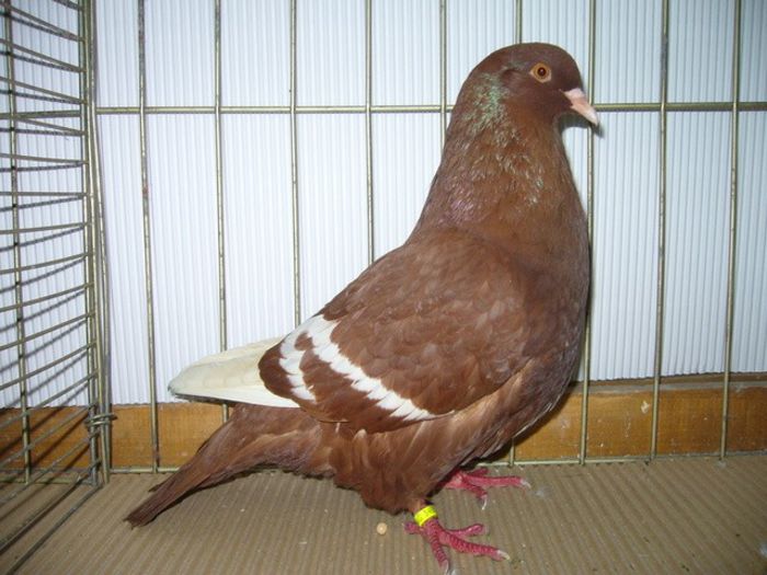 281