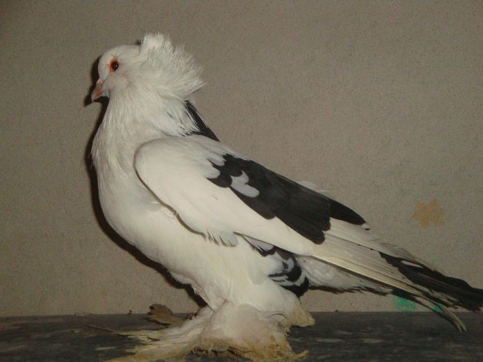 DSC01732
