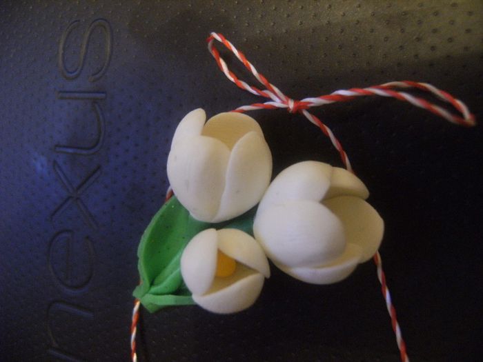 brose branduse 010 - Martisoare 2014