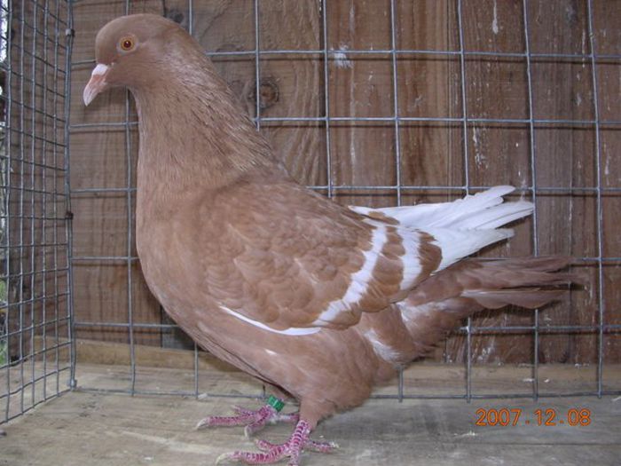 291