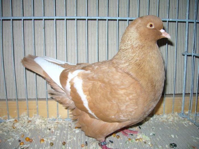 292