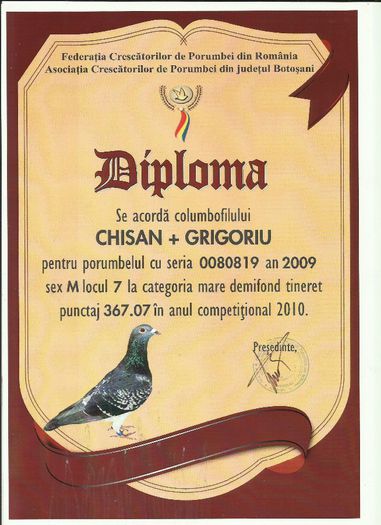 loc 7 demifond mare  819 - DIPLOME 2010