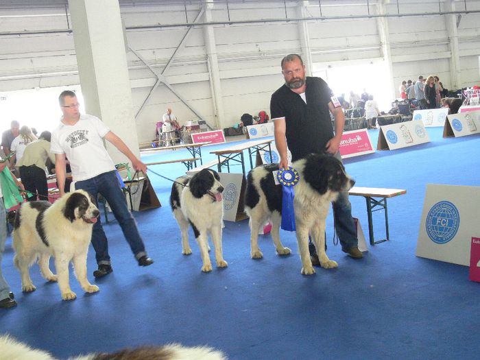 CALIMAN DE DRAGOS VODA; CAMPION MONDIAL WDS BUDAPESTA 2013
