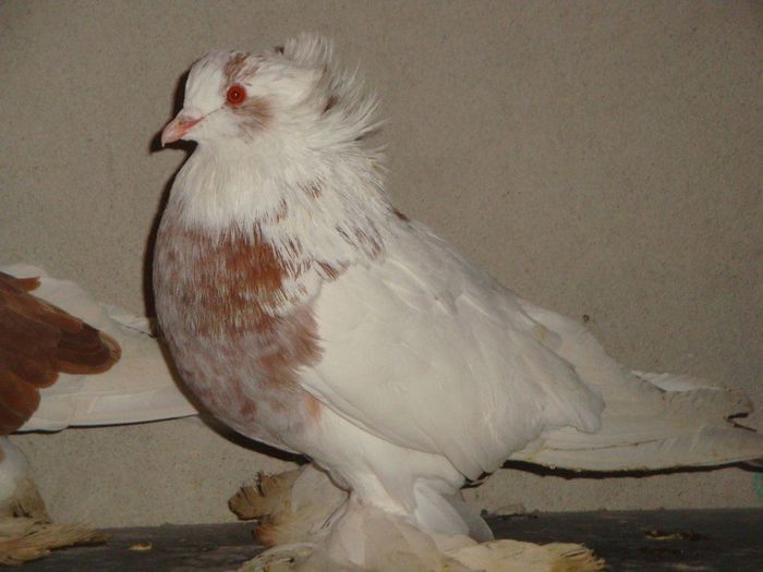 DSC01751