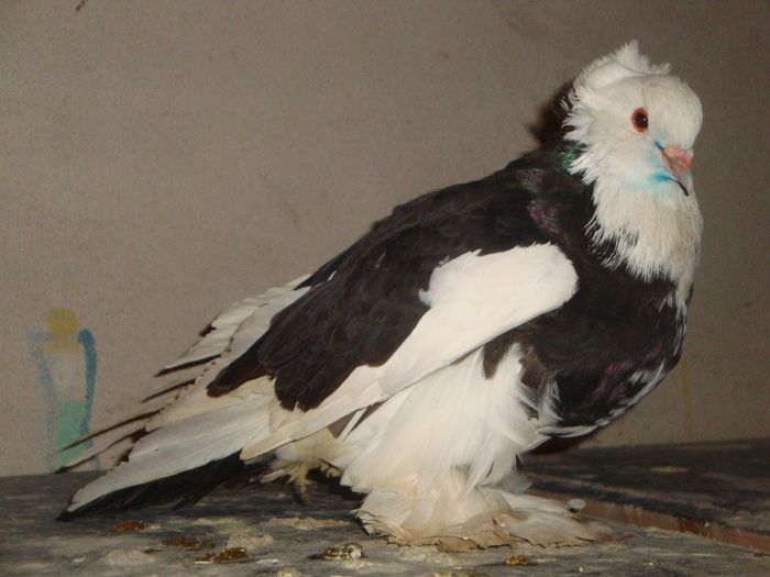 DSC01761