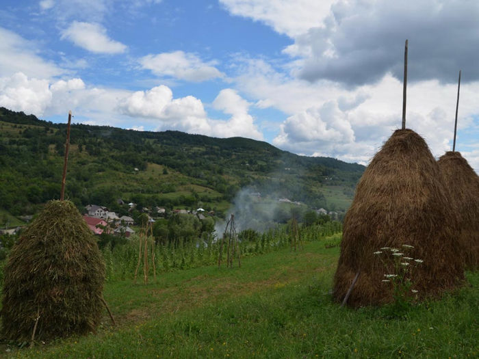 58 - Valea Porcului