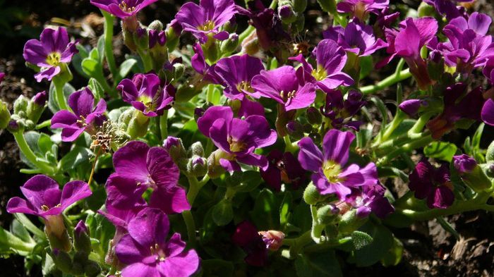 1072245_1389784571242880_832737471_o - Copy