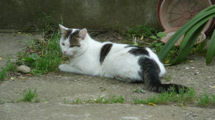 1078820_1389228567965147_573223723_o