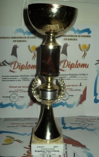 loc 1 demifond tineret - Cupe si Diplome