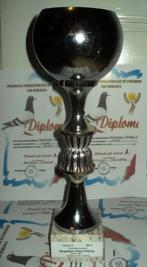 loc 2 demifond maturi - Cupe si Diplome