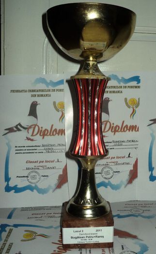 loc 2 demifond tineret - Cupe si Diplome