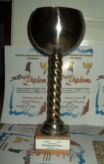 loc 2 general maturi - Cupe si Diplome