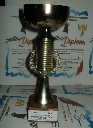loc 3 demifond palmares - Cupe si Diplome