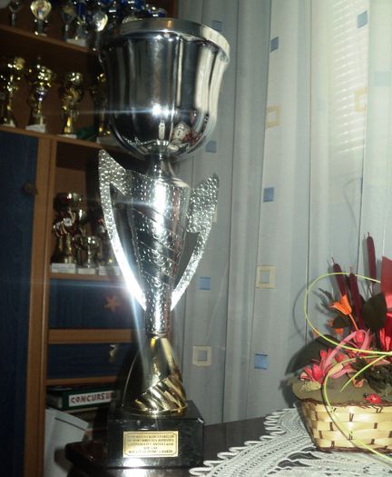 DSC01558 - Cupe si Diplome