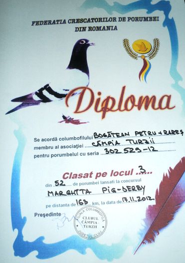 DSC01718 - Cupe si Diplome