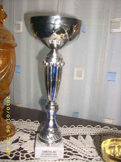 DSCI2504 - Cupe si Diplome
