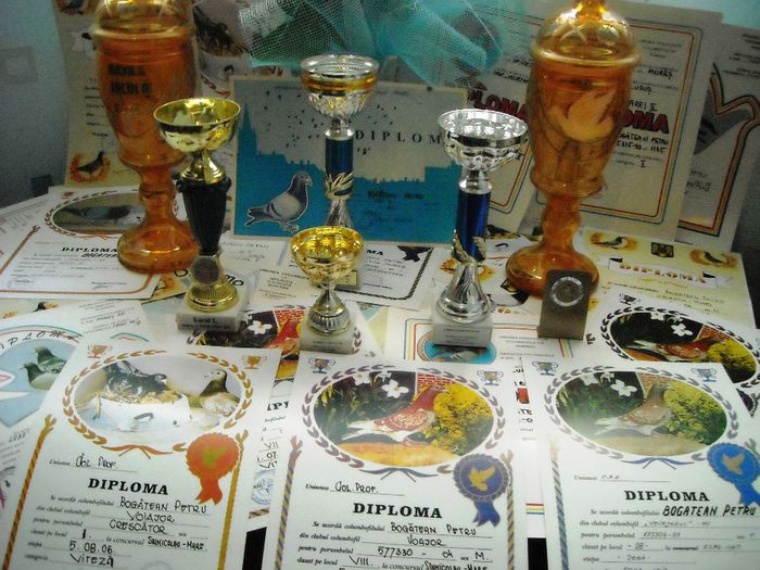 DSCN3392 - Cupe si Diplome