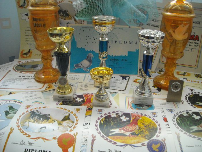 DSCN3393 - Cupe si Diplome