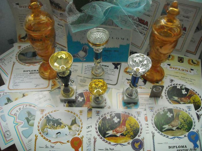 DSCN3394 - Cupe si Diplome