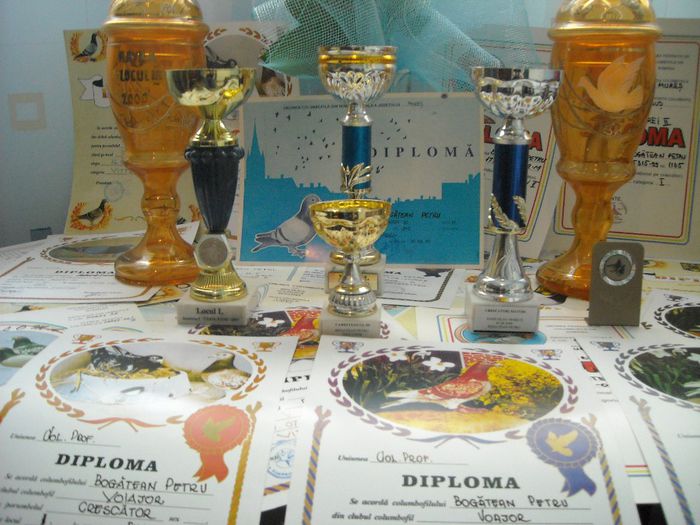 DSCN3395 - Cupe si Diplome