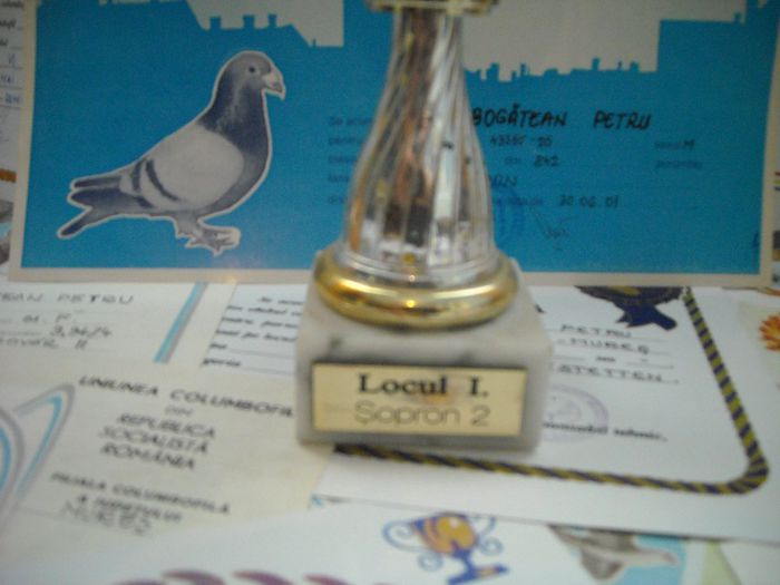 DSCN3397 - Cupe si Diplome
