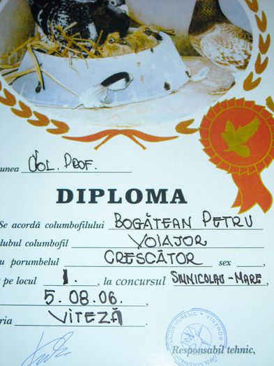 DSCN3415 - Cupe si Diplome