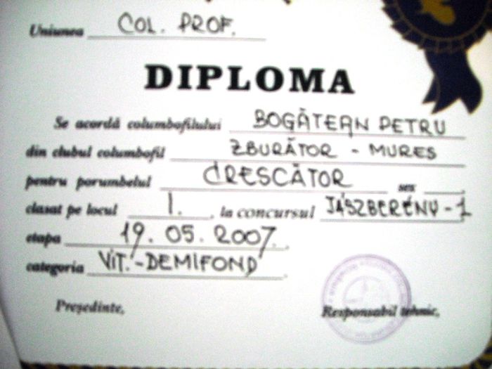 DSCN3420 - Cupe si Diplome