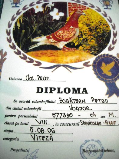 DSCN3423 - Cupe si Diplome