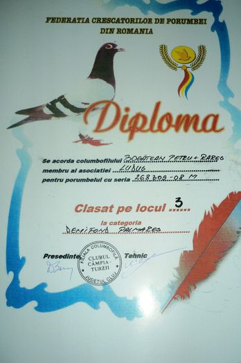 268309-08 (3) - Cupe si Diplome