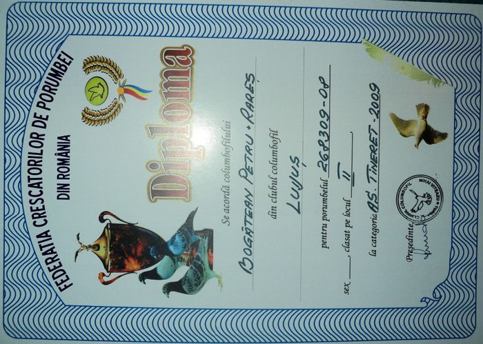 268309-08 (4) - Cupe si Diplome