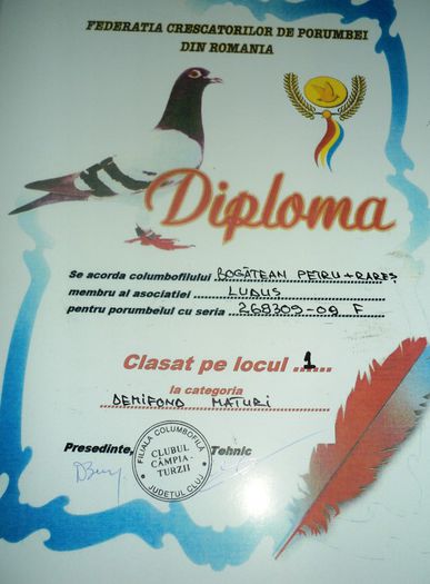 268309-08 - Cupe si Diplome
