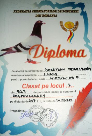 410312-09 (2) - Cupe si Diplome