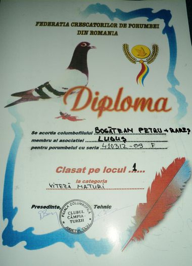 410312-09 (3) - Cupe si Diplome
