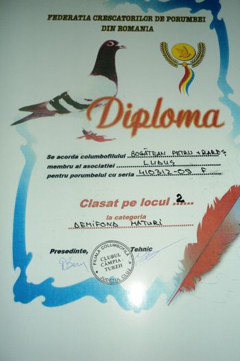 410312-09 (4) - Cupe si Diplome