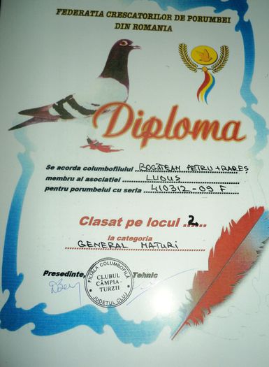 410312-09 (5) - Cupe si Diplome