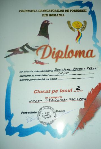 loc 2 viteza crescator palmares