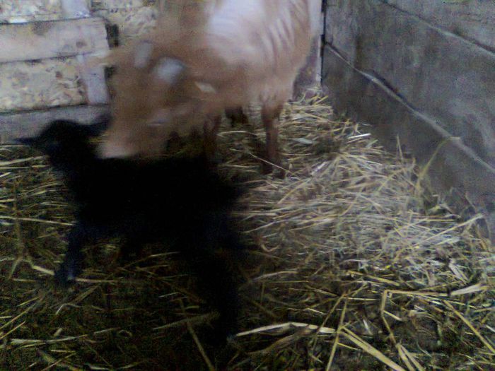 Picture 393
