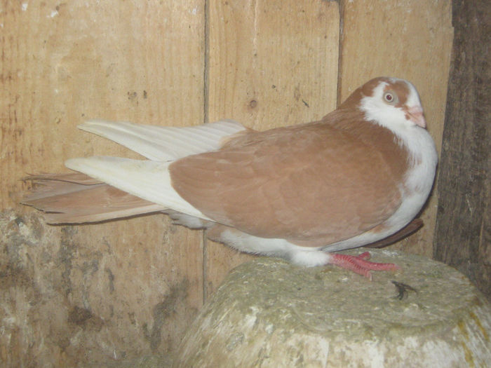 Picture 024