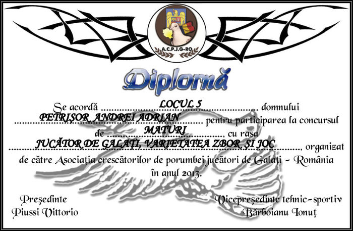 DIPLOMA Concurs ACPJG-Ro 2013 PETRISOR MATURI