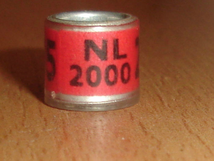 NL 2000