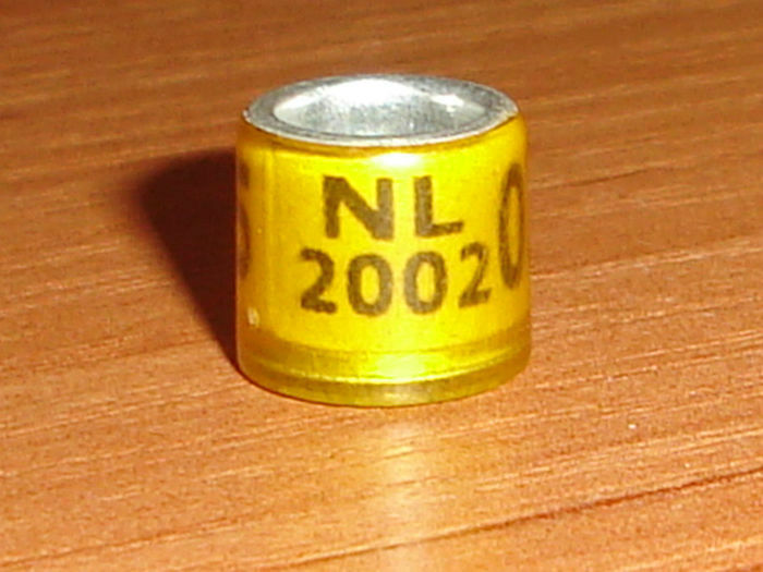 NL 2002. - OLANDA