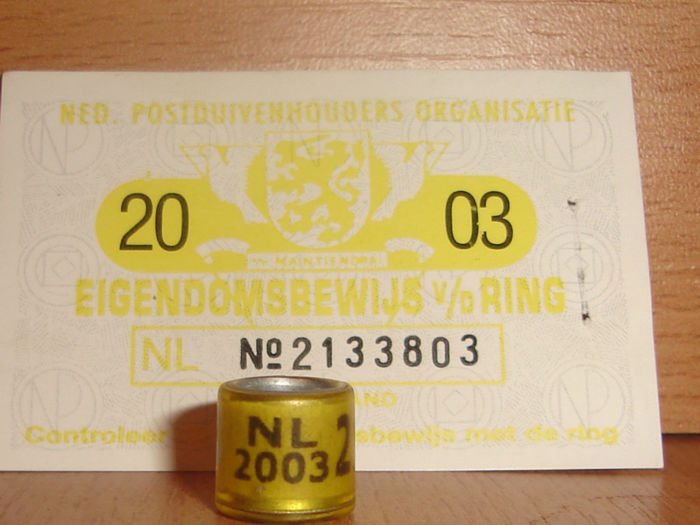 NL 2003